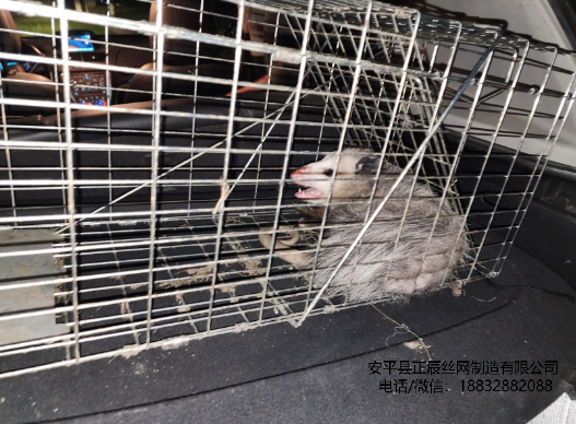 折疊陷阱